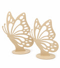 Butterfly wing